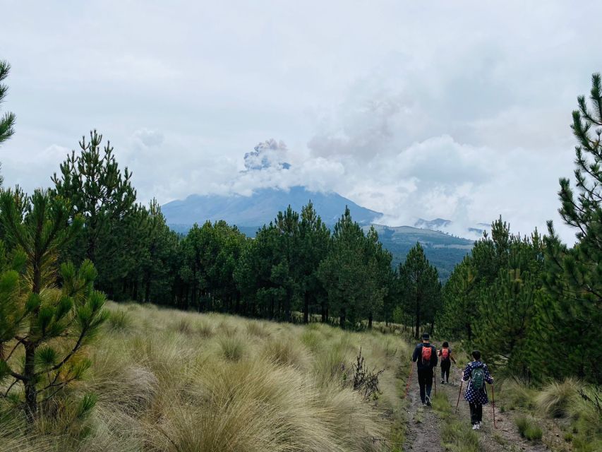Mexico City: Guided Volcano Trek with Lunch - Amalacaxco Ravine, plants, and possible waterfalls