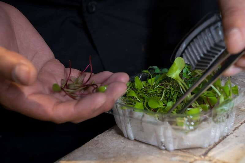 Mexico City: Mexican Cooking Class - Sitting down to eat what you made