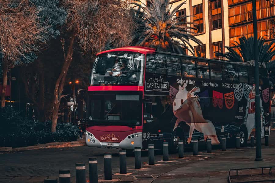 Mexico City: Night Bus Tour - The Cathedral and National Museum of Art