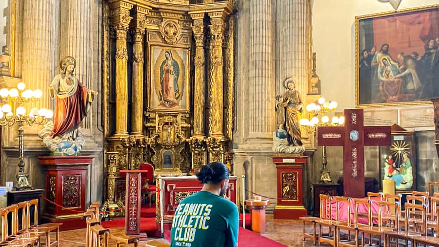 Mexico City: Teotihuacan, Tlatelolco & Guadalupe Shrine Tour - What the $49 price really covers
