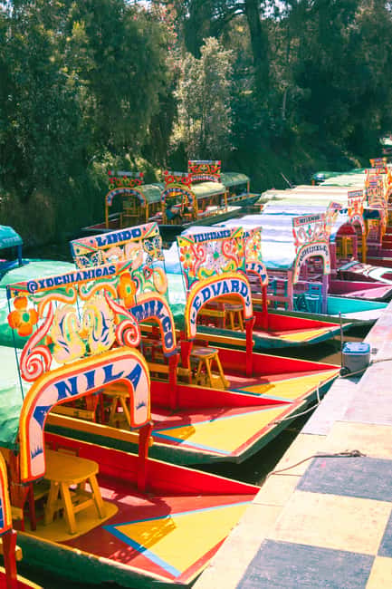 Mexico City: Xochimilco Boat with Guacamole & Premium Drinks - Xochimilco begins at Canal 237