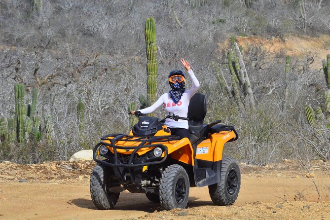 Migriño Beach & Dunes off-road Tour ATV - Migriño Beach, dunes, and winter whales