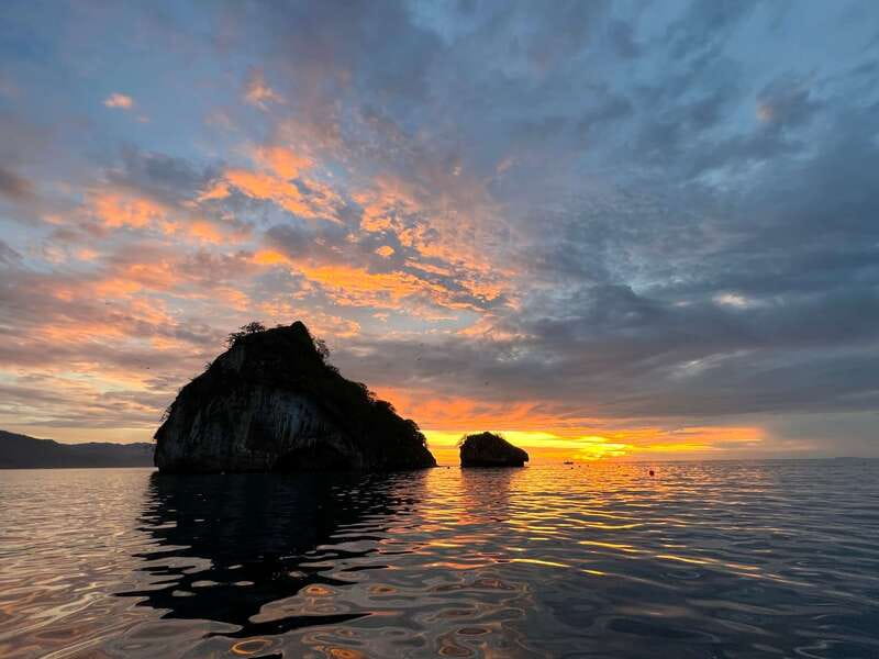 Mismaloya: Los Arcos Bioluminescent Waters Kayak & Cave Tour - Seeing the bioluminescence after dark