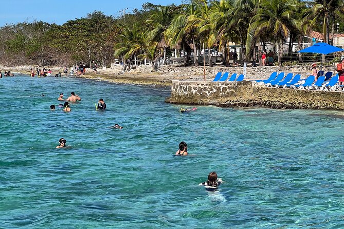 Money Bar Day Pass with Snorkel & Mexican Lunch - A shore-first way to see Cozumel’s reef