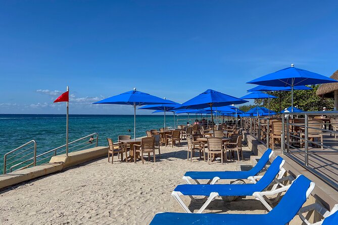Money Bar Day Pass with Snorkel & Mexican Lunch - Lunch choices that keep the price useful
