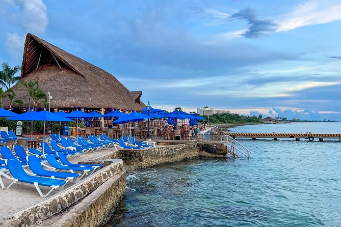 Money Bar Day Pass with Snorkel & Mexican Lunch - What the ratings tell you, and what they do not