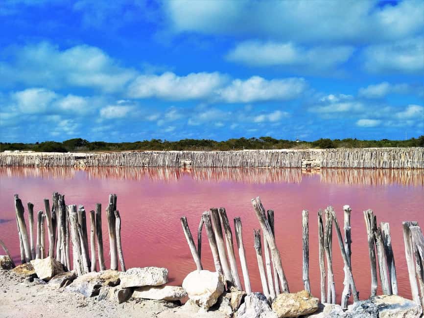 Motul, Hacienda, Xcambo, Pink Salt Mine & Progreso Day Trip - What the guiding adds to the day