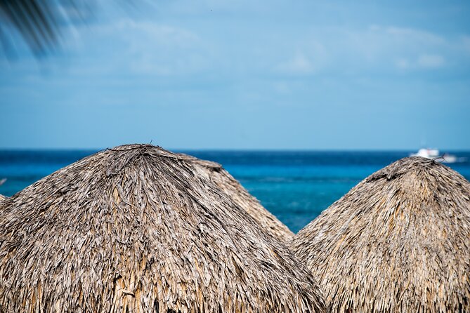Mr. Sanchos Beach Club All-Inclusive Day Pass - Service, drinks, and the human side of the club