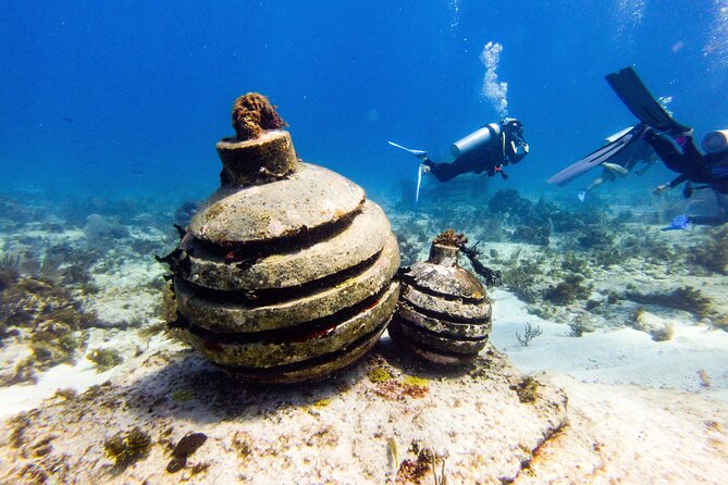 MUSA Museum and Colorful Reef 2 Tank Dive-Certified Divers - MUSA gives your underwater time a clear purpose