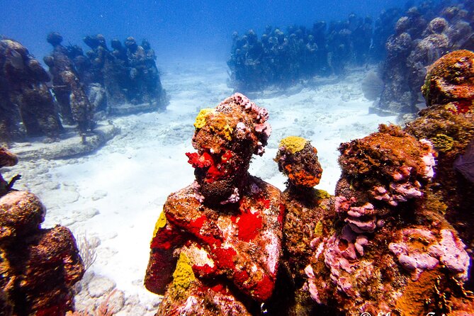MUSA Museum and Colorful Reef 2 Tank Dive-Certified Divers - What the guide adds to each session