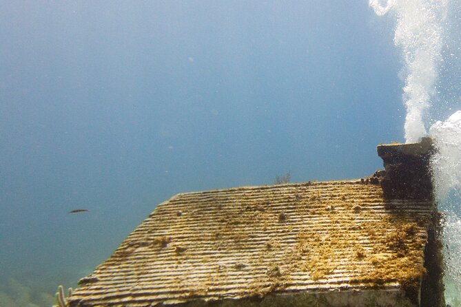 MUSA Museum and Colorful Reef 2 Tank Dive-Certified Divers - Fitness, certification, and group size