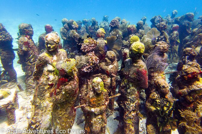 MUSA Museum and Colorful Reef 2 Tank Dive-Certified Divers - Timing, weather, and cancellation details