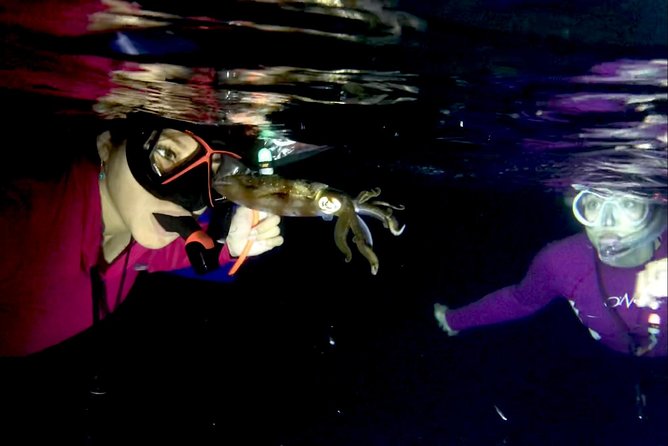 Night Snorkeling - Observation of octopus and other species - Videos Included, With One Important Caveat