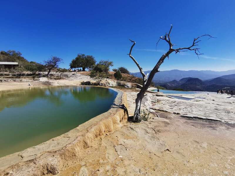 Oaxaca: Full Day Guided Tour on the Hierve el Agua Route - Teotitlán del Valle keeps the craft tradition personal