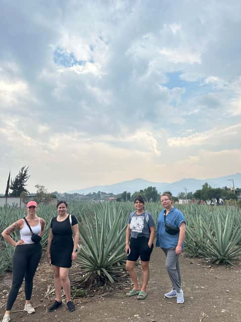 Oaxaca: Hierve el Agua & Mezcal Distillery Small-Group Tour - Key points at a glance