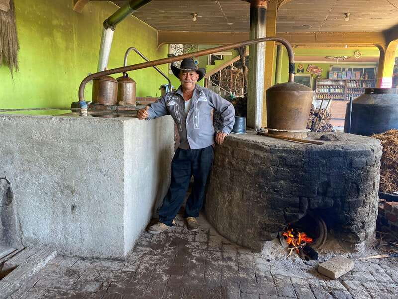 Oaxaca: Mezcal Adventure - From Oaxaca to the agave fields of Tlacolula