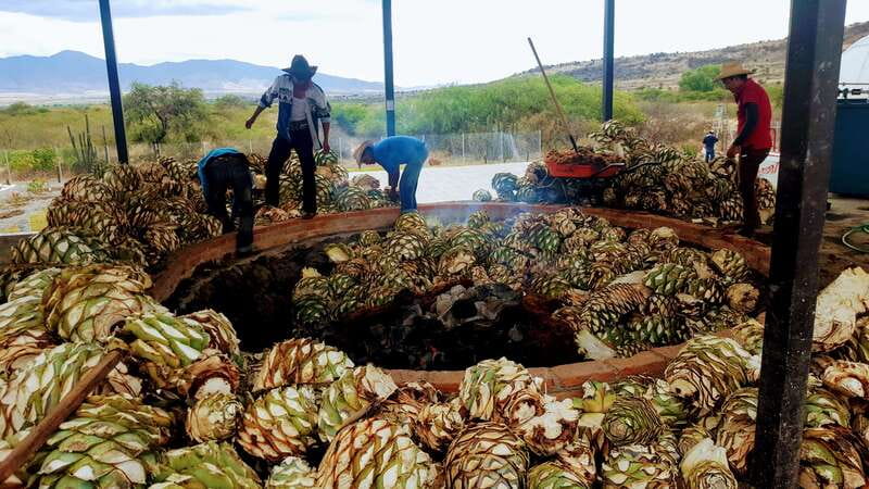 Oaxaca: Mezcal Adventure - Inside a family palenque