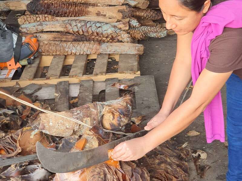 Oaxaca: Mezcal Adventure - A second production style in Santiago Matatlán
