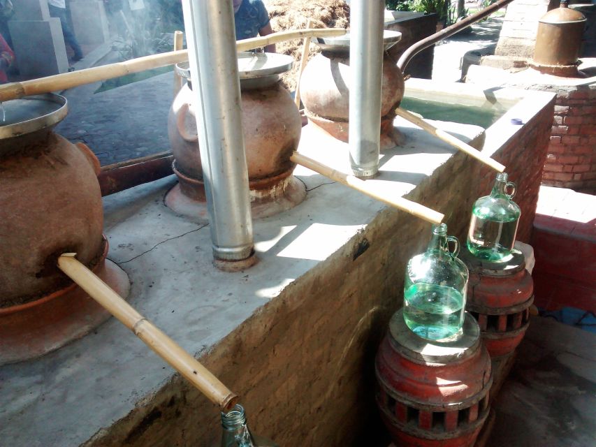 Oaxaca: Mezcal Adventure - How the tastings work