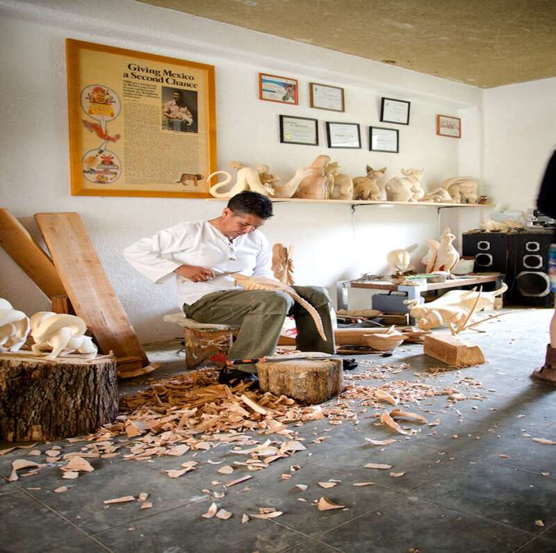 Oaxaca: Monte Alban and the Art of Oaxaca - Lunch, chocolate, and possible extra stops