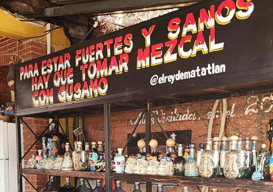 Oaxaca: Tule, Mitla & Hierve el Agua, & Mezcal Tour - Is $75 a fair price?