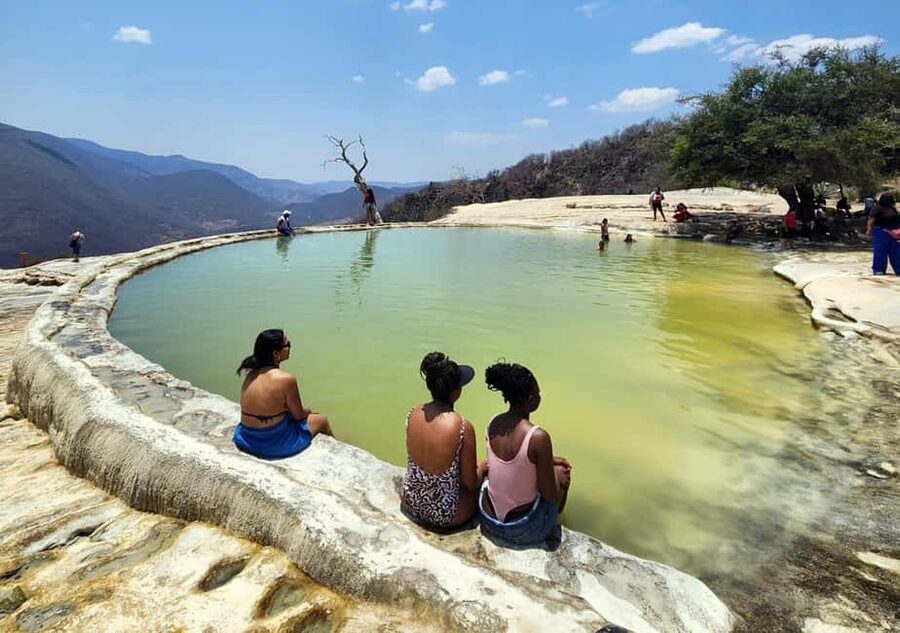 Oaxaca: Tule, Mitla & Hierve el Agua, & Mezcal Tour - The Tule Tree: a quick stop with real scale