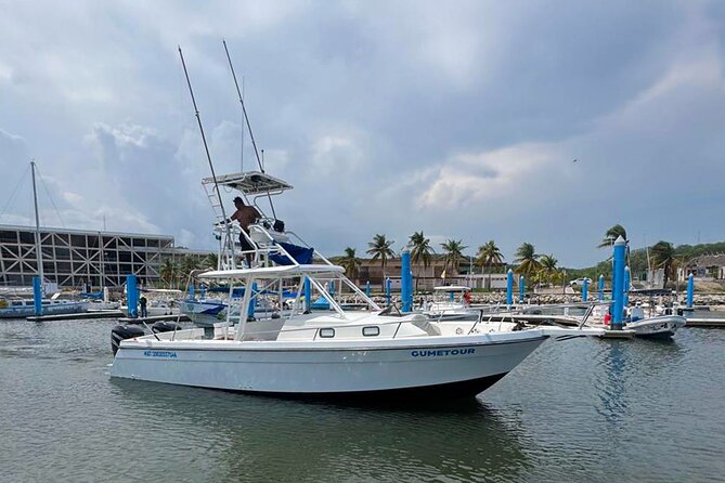 Ocean Eco Adventure with Marine Biologist Guides - Cost and what you get for MX$83.64