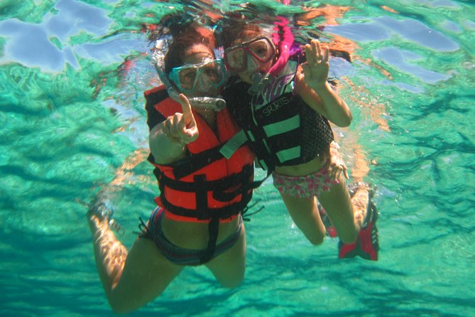 Official Chankanaab Beach Park Day pass with Snorkel - What you can see at Chankanaab Reef