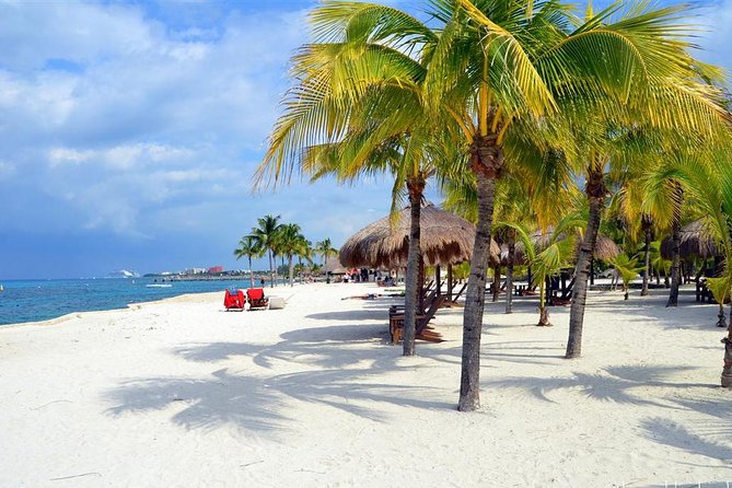 Official Chankanaab Park Day pass and Snorkel with Lunch included - Mayan replicas, gardens, sea lions, and tequila