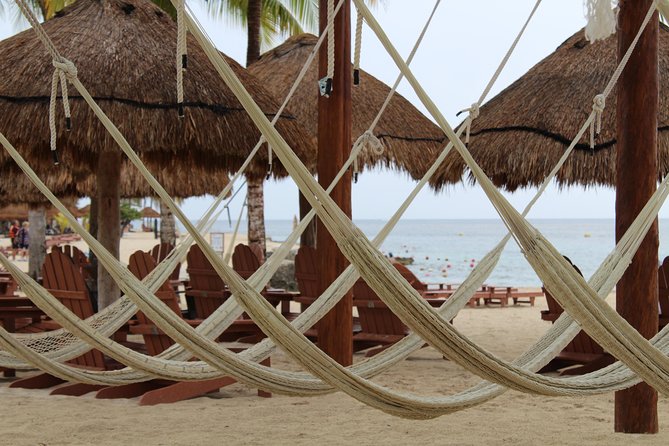 Official Chankanaab Park Day pass and Snorkel with Lunch included - Lunch: useful, but clarify what you receive