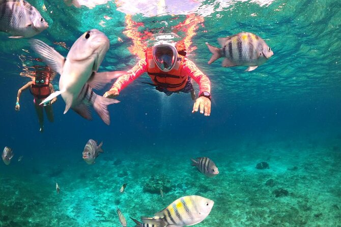 Official Chankanaab Park Day pass and Snorkel with Lunch included - Entering Chankanaab and finding your place