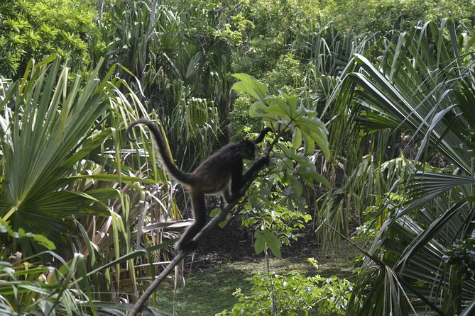 One Day Tour to Chacchoben Mayan City and Bacalar Lagoon with a Certified Guide - Should you book it?