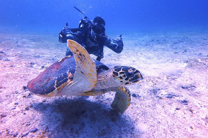 Open Water Certification Course-PADI - Who should choose this course?