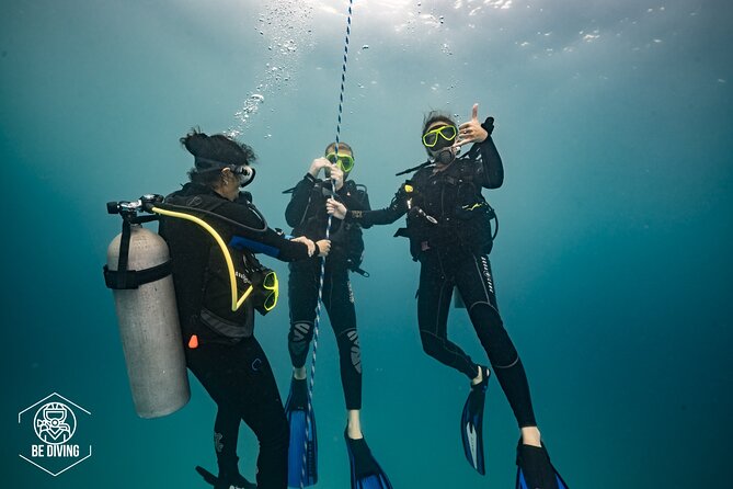Open Water Course Cozumel - Instructors who focus on calm progress
