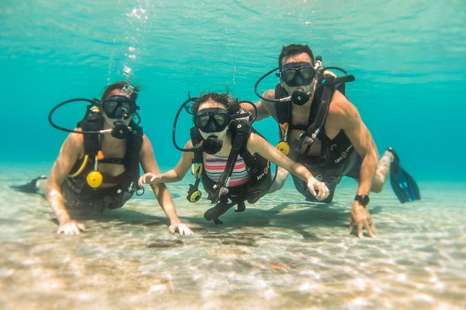 Open Water Course Cozumel - Getting around Cozumel and the Riviera Maya