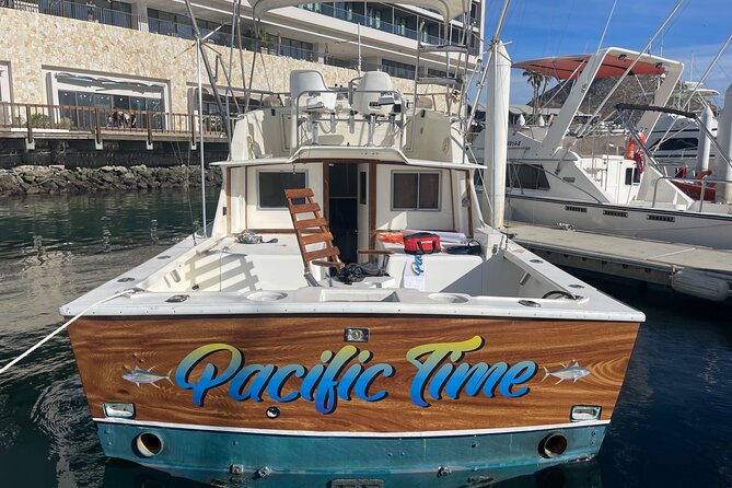 Pacifictime Sports Fishing in Cabos san lucas - Whales, dolphins, and the ride beyond the Arch