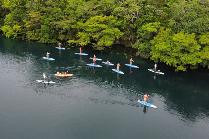 Paddle at Dawn with visit to Cenotes and Islands - Key points to know before you book