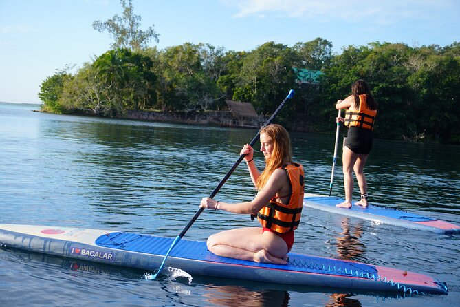 Paddle at Dawn with visit to Cenotes and Islands - Birds and breakfast on the water