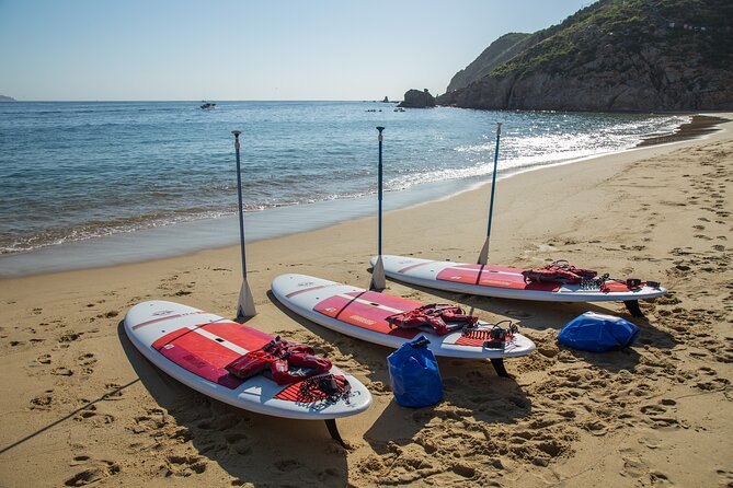 Paddleboard Expedition to the Arch of Cabo San Lucas, Lovers Beach & Snorkel - Snorkeling at Pelican Rock