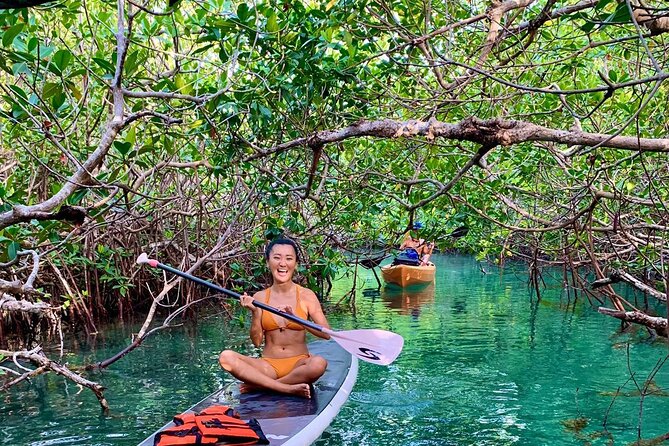 Paddleboard Kayak Tour in Cancun - The wildlife and scenery along the route
