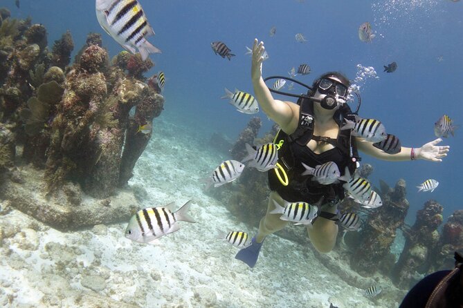 PADI Discover Scuba Diving for divers without certification - How Much Value Does the $169 Price Offer?