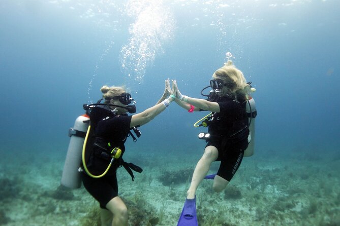 PADI Open Water Diver Course - Starting at 7:00 am in central Isla Mujeres