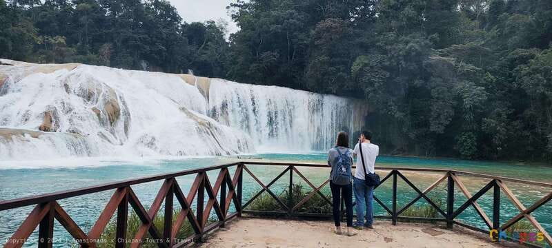Palenque: Palenque Ruins, Agua Azul Waterfalls and Misol-Ha - Why this Chiapas day works