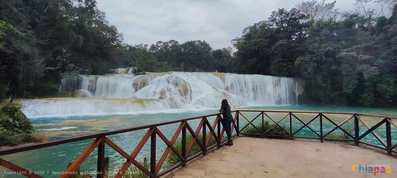 Palenque: Palenque Ruins, Agua Azul Waterfalls and Misol-Ha - Agua Azul: the longest and most flexible stop