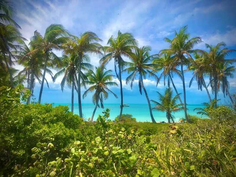 PARADISE ISLAND- ISLA CONTOY AND ISLA MUJERES - Who will enjoy this day most