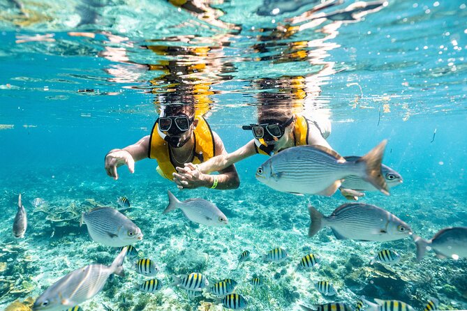 Parasailingcancun and Jet Ski tour over Cancun Bay - Is $130 a fair price?