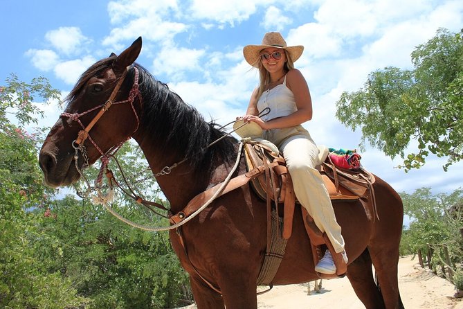 Park Pass at Wild Canyon One Place, Many Adventures - The glass-bottom gondola, bungee jump, and giant swing