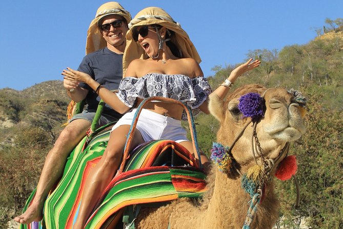 Park Pass at Wild Canyon One Place, Many Adventures - Camels, horses, and the animal sanctuary