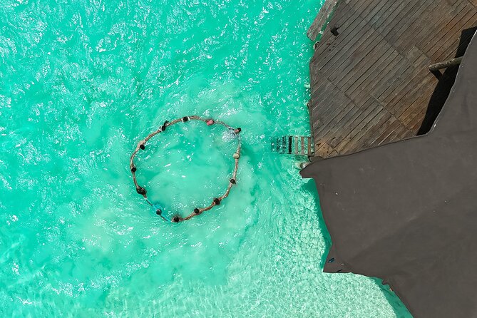 Photography and Filming with drone and camera - Who will get the most from this experience