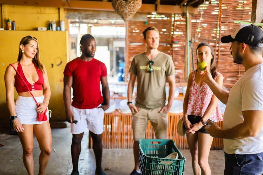 Playa del Carmen: 3-Hour Local Food Walking Tour - Ending with fruit, chili, and handmade popsicles